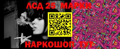 молекула духа Кандалакша