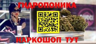 2c-b Канаш